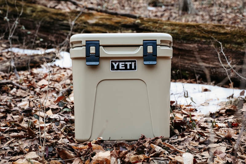 yeti roadie 24 in forest next to log
